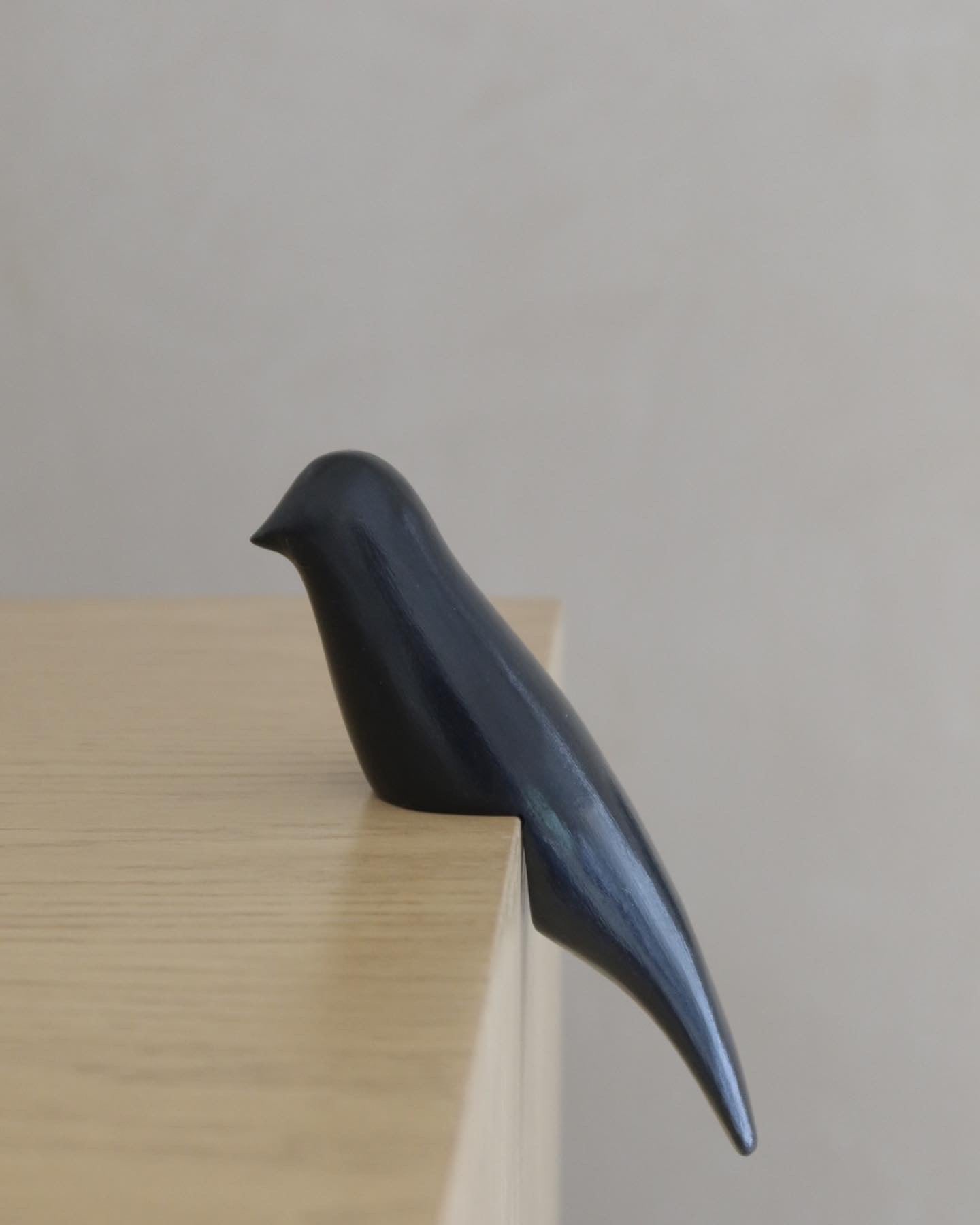 Pájaro Acacia