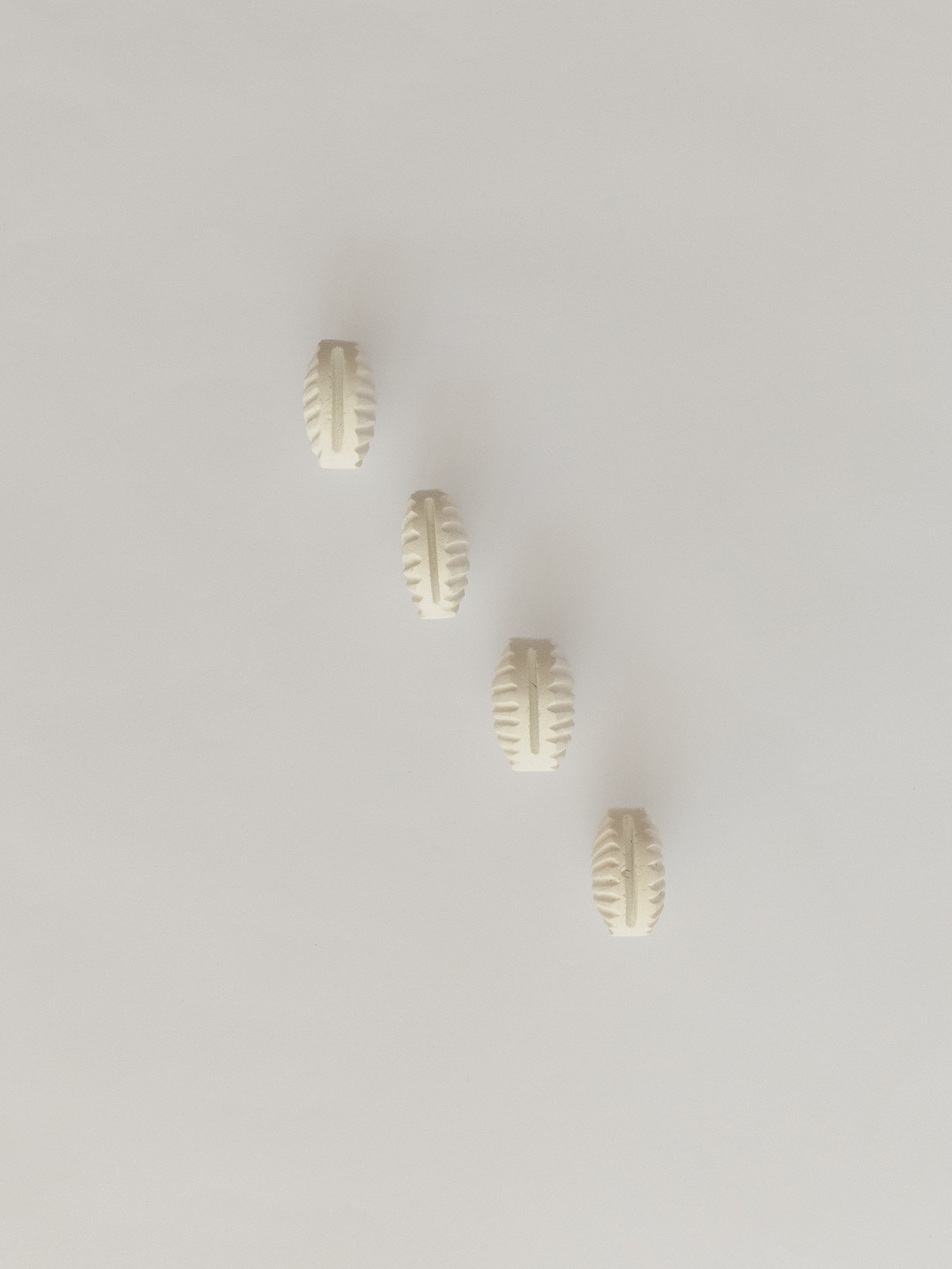 Set de 4 porta nombres de conchitas