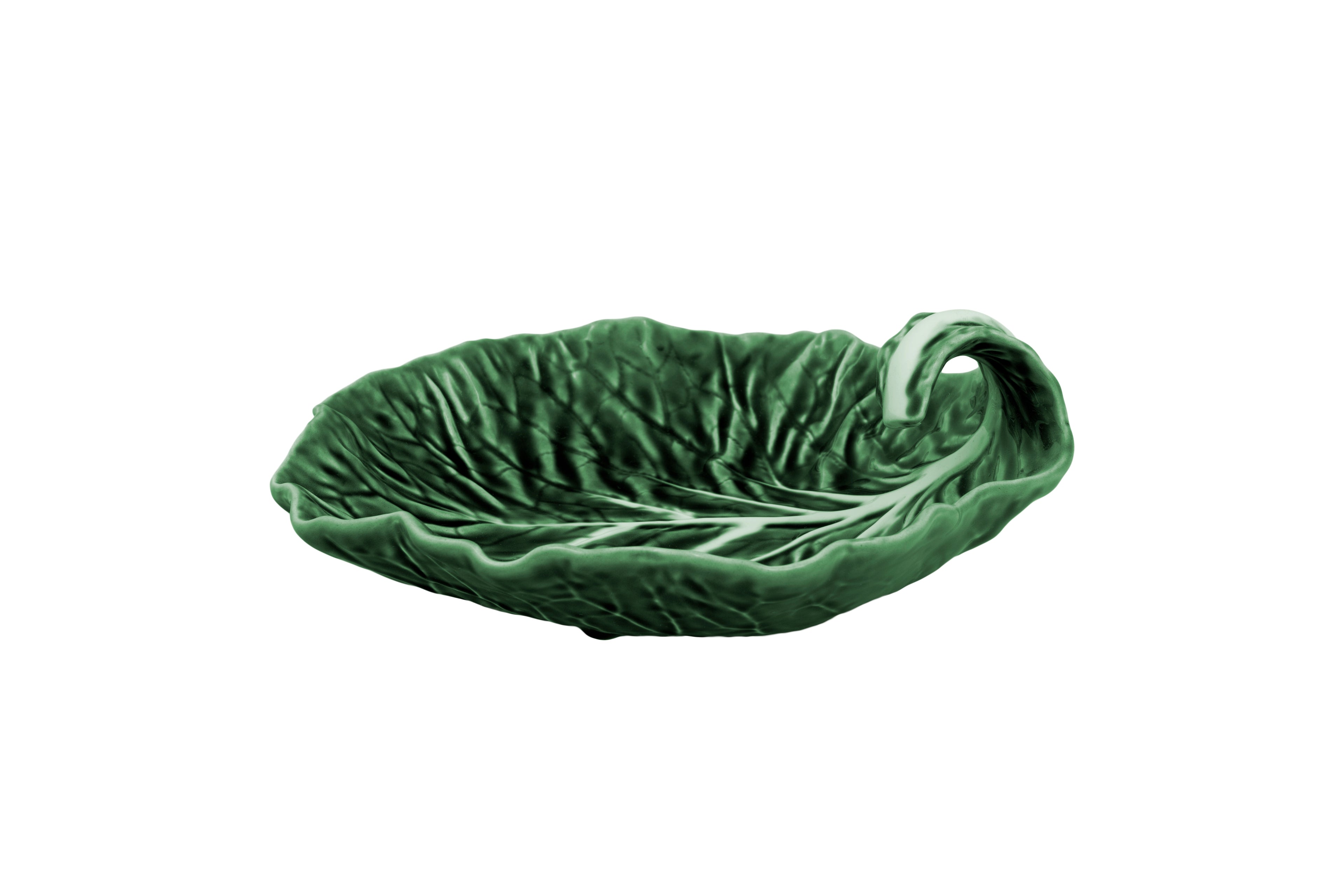 Hoja grande con curvatura