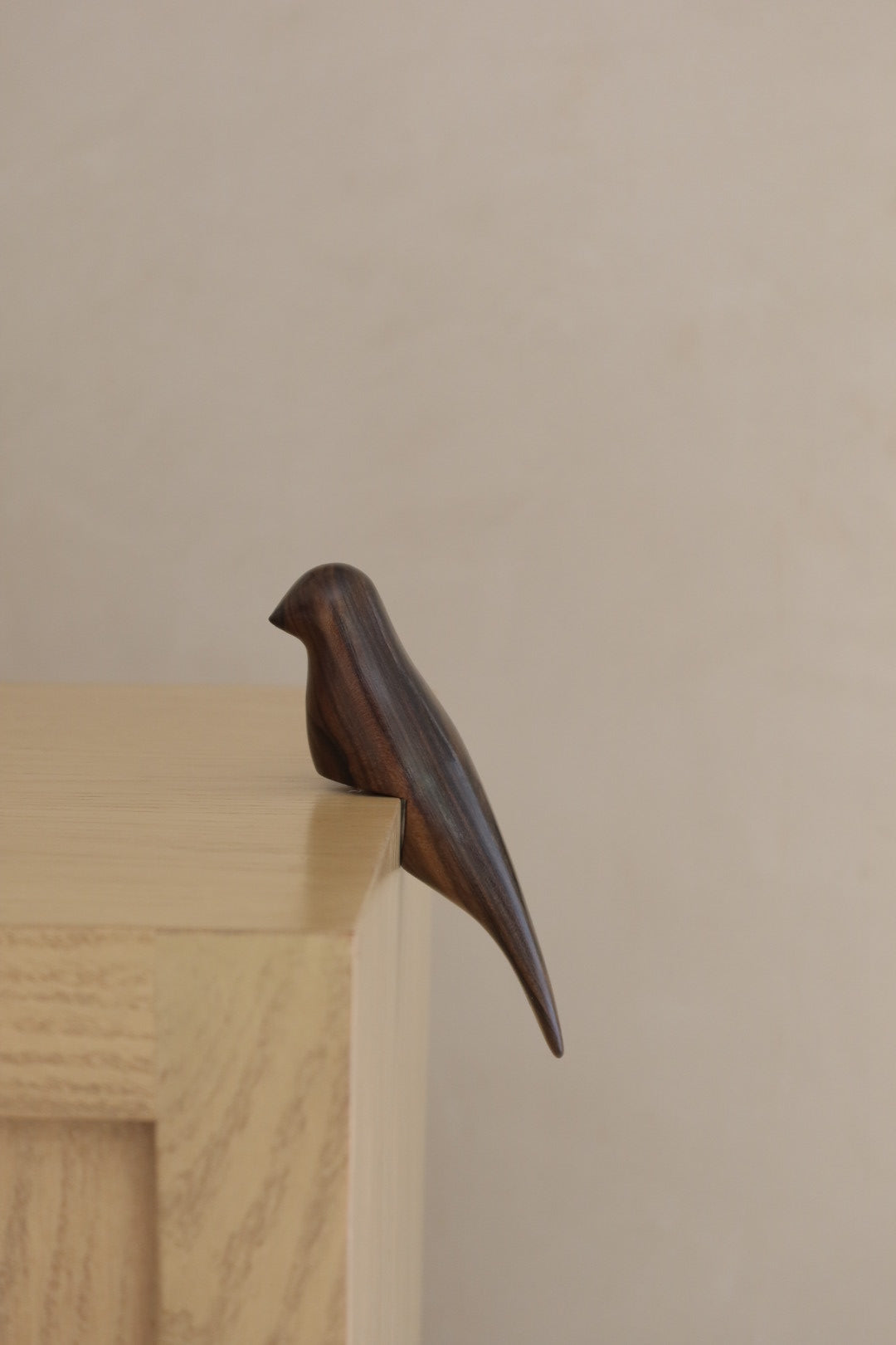 Pájaro Acacia